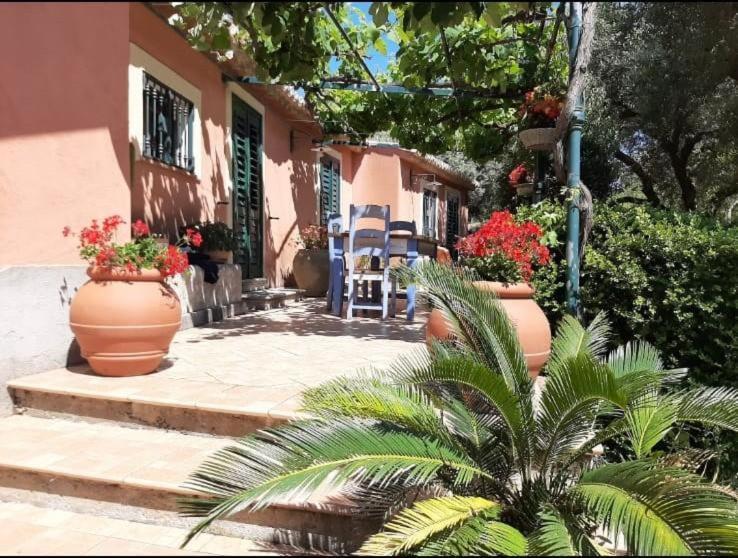 Villa Gemma Joppolo Exterior photo